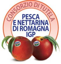 CONSORZIO DI TUTELA PESCA E NETTARINA DI ROMAGNA IGP