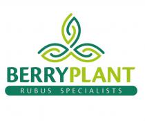 BERRYPLANT RUBUS SPECIALISTS