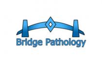 Bridge Pathology