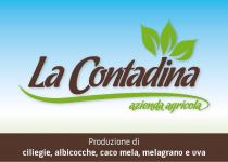 La Contadina azienda agricola Produzione di ciliegie, albicocche, caco mela, melograno e uva