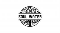 SOUL WATER DESDE 2017