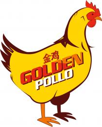 Golden Pollo 金鸡