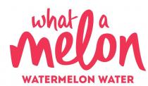 WHAT A MELON WATERMELON WATER