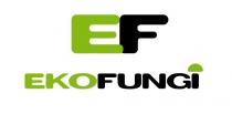 EF EKOFUNGI