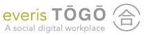 everis TOGO A social digital workplace