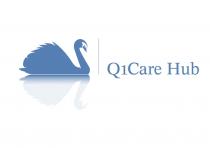 Q1Care Hub