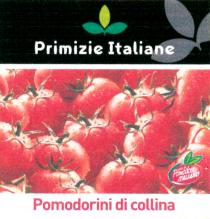 Primizie Italiane Pomodorini di collina