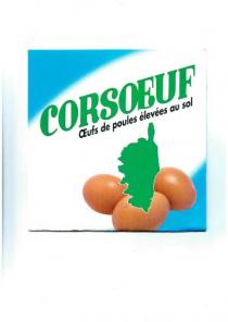 CORSOEUF Oeufs de poules élevées au sol