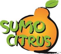 SUMO CITRUS