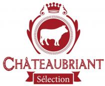 CHATEAUBRIANT Sélection