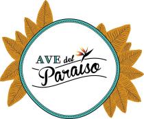 AVE del Paraiso