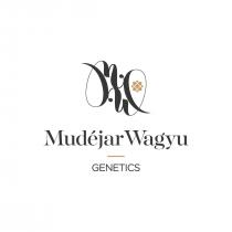 MUDÉJAR WAGYU GENETICS