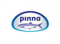 pinna