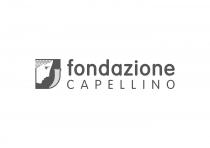 FONDAZIONE CAPELLINO