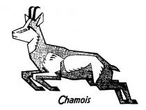 Chamois