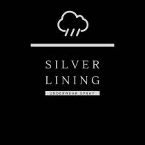 Silver Lining Underwear Spray