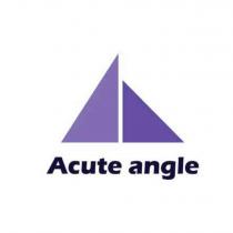 Acute Angle