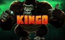 KINGO