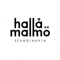 halla malmo SCANDINAVIA