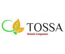 TOSSA Reliable Companion