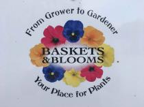 BASKETS & BLOOMS From Grower to Gardener Your Place For Plants