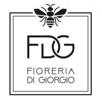 FDG FIORERIA DI GIORGIO