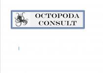 OCTOPODA CONSULT