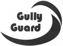 Gully Guard