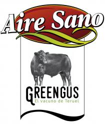 AIRE SANO GREENGUS – EL VACUNO DE TERUEL