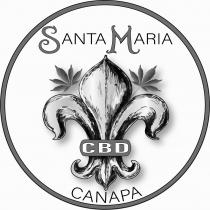 Santa Maria CBD CANAPA