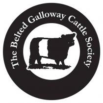 THE BELTED GALLOWAY CATTLE SOCIETY