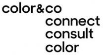 COLOR & CO CONNECT CONSULT COLOR