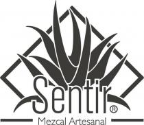 Sentir Mezcal Artesanal