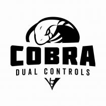 COBRA DUAL CONTROLS