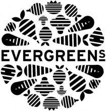 EVERGREENS