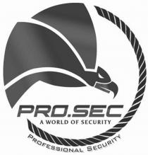 PRO.SEC A WORLD OF SECURITY PROFESSIONAL SECURITY