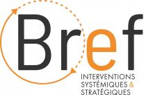 Bref INTERVENTIONS SYSTEMIQUES ET STRATEGIQUES