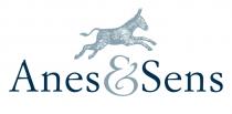 Anes & Sens