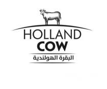 HOLLAND COW, البقرة الهولندية