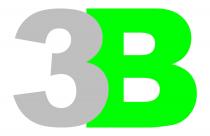 3B