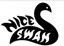 Nice Swan