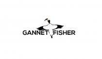 GANNET FISHER