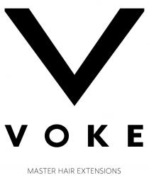 VOKE Master Hair Extensions