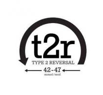 t2r TYPE 2 REVERSAL 42-47 mmol/mol