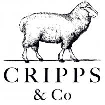 CRIPPS & CO