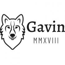 Gavin MMXVIII