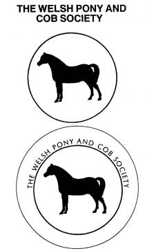 The Welsh Pony and Cob Society