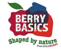 BERRY BASICS SHAPED BY NATURE FROM SOLOBERRY