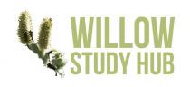 Willow Study Hub