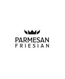 PARMESAN FRIESIAN